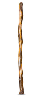 Heartland Didgeridoo (HD221)